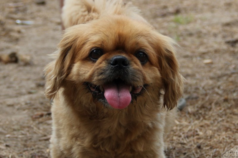 Фотография № 131371