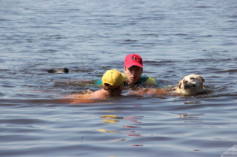 Фотография № 131373