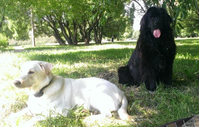 Фотография № 131395