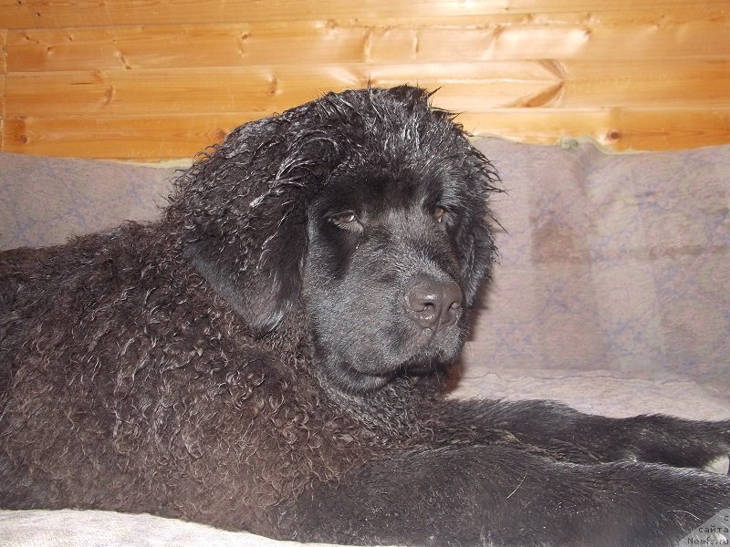 Фотография № 131409