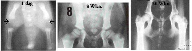 Фотография № 131418