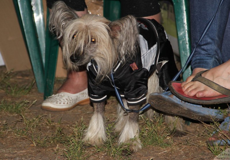 Фотография № 131431