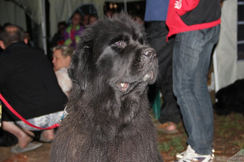 Фотография № 131432