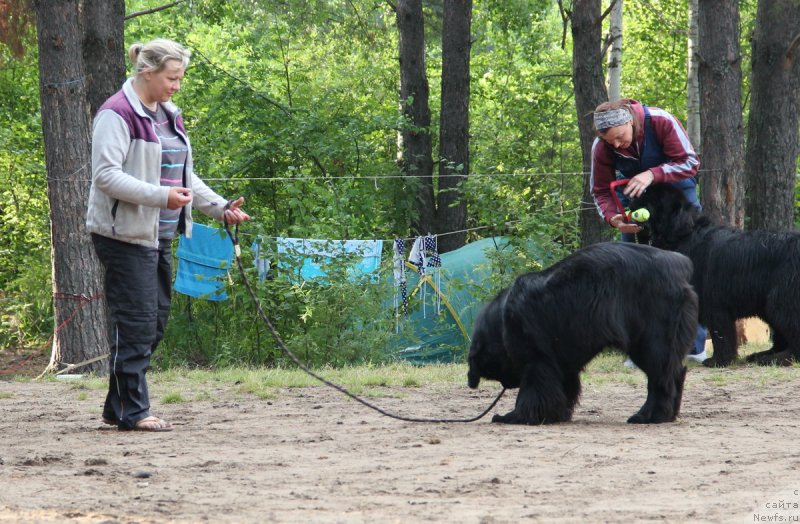 Фотография № 131434