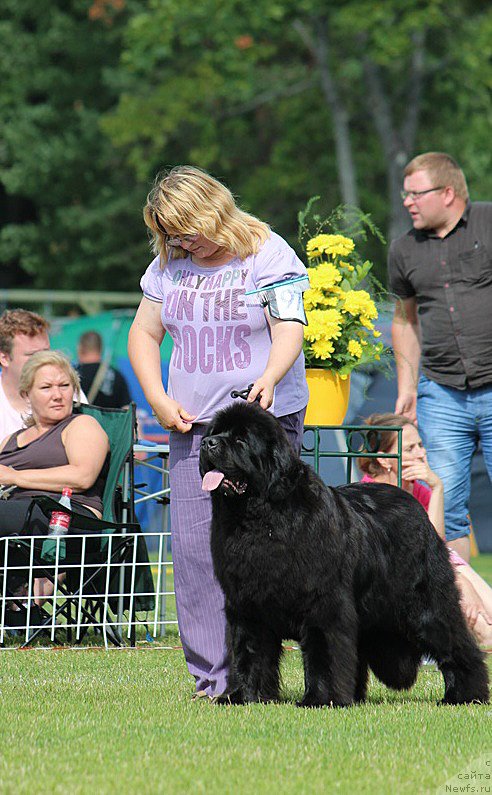 Фотография № 131467