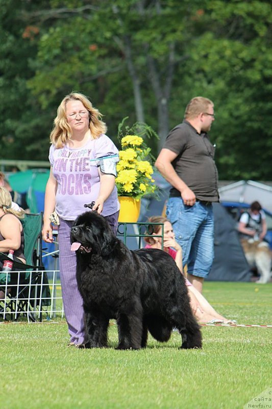 Фотография № 131468