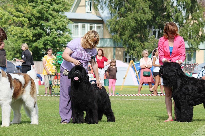 Фотография № 131469