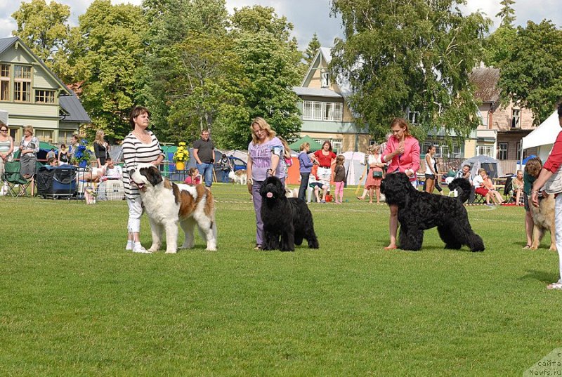 Фотография № 131472