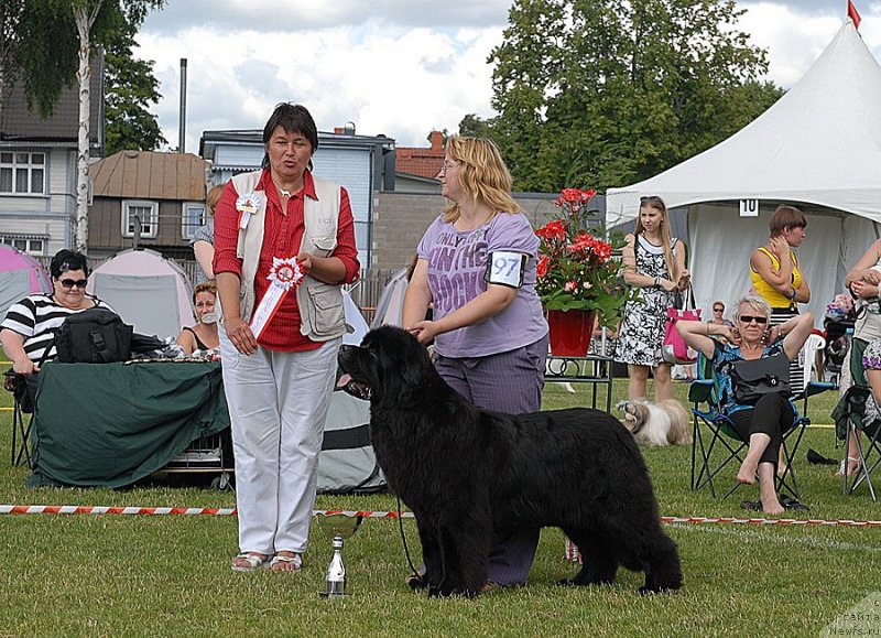 Фотография № 131476