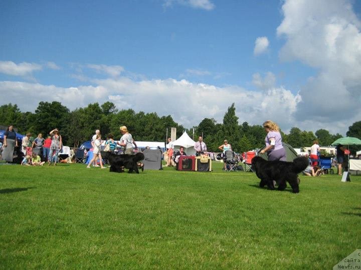 Фотография № 131477