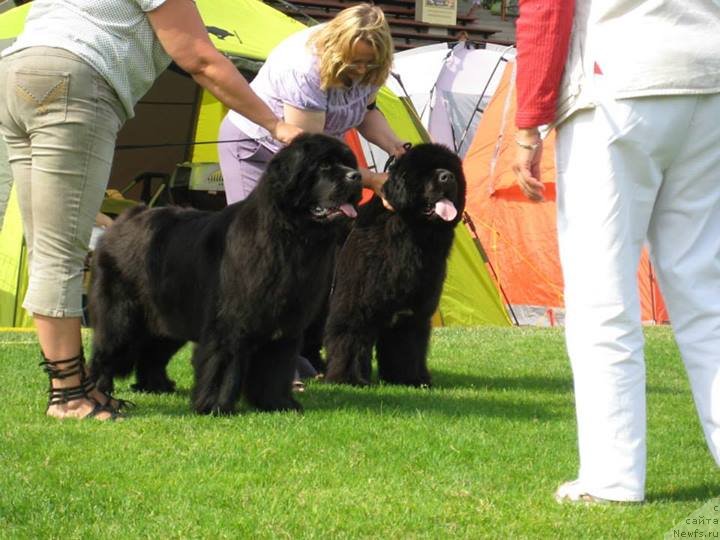 Фотография № 131478