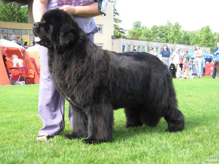 Фотография № 131482