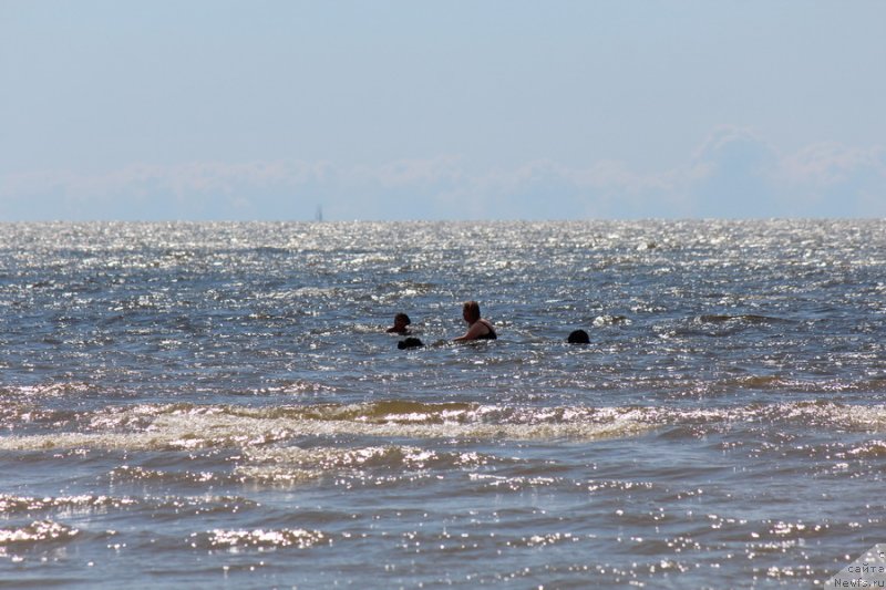 Фотография № 131486