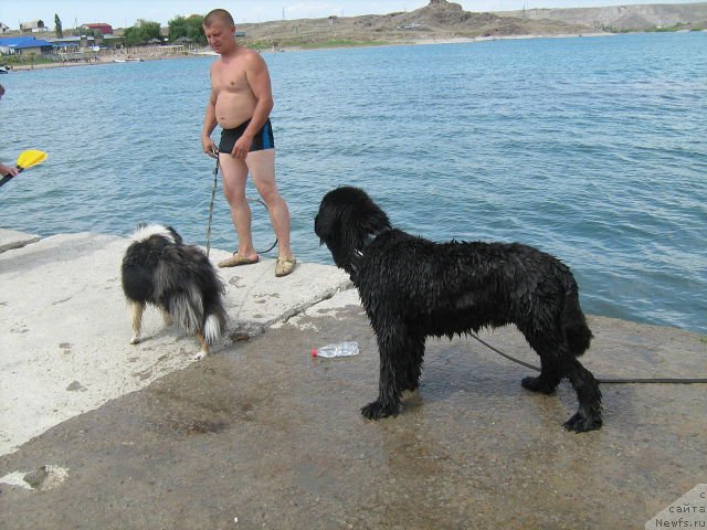 Фотография № 131488