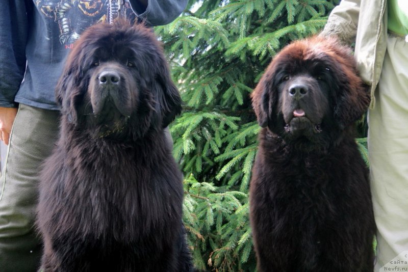 Фотография № 131514