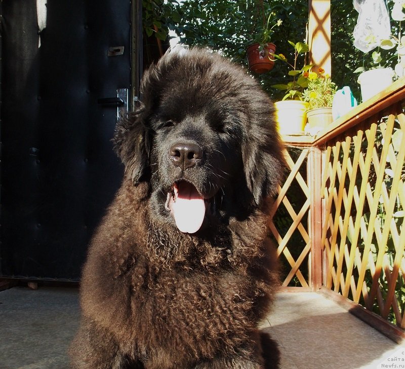 Фотография № 131522