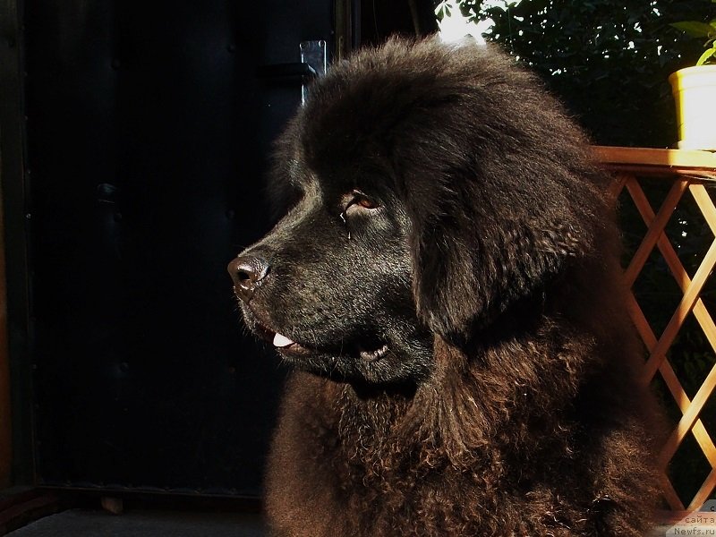 Фотография № 131523