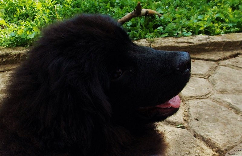 Фотография № 131524