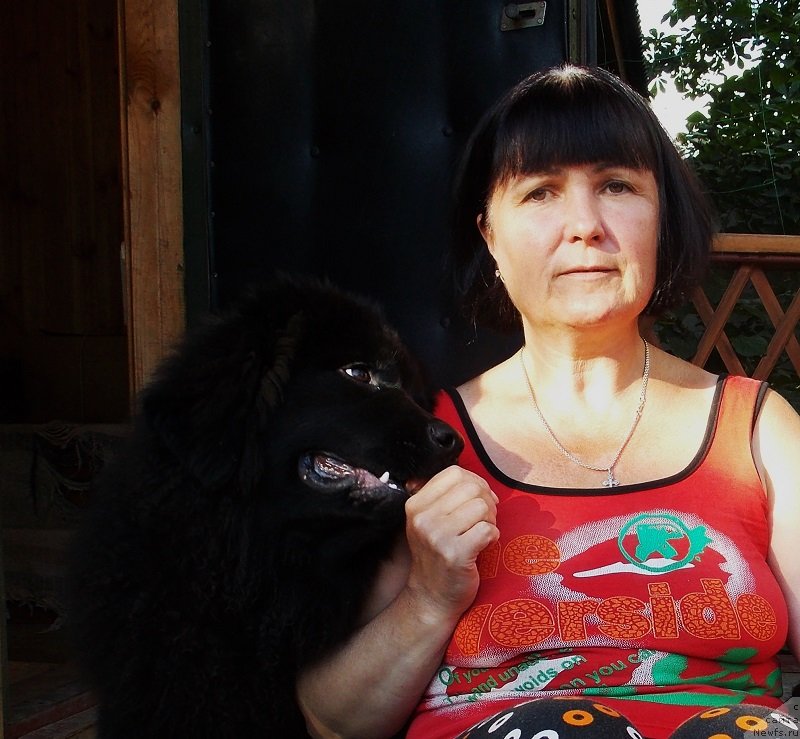 Фотография № 131525