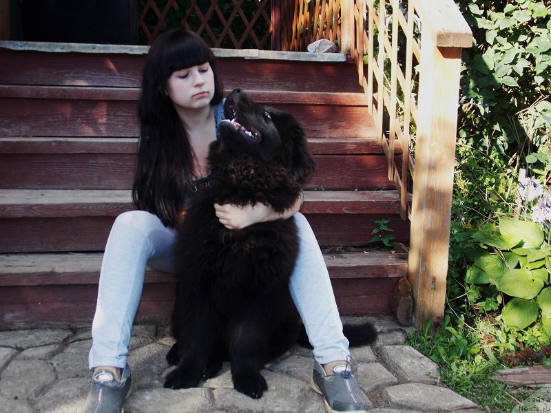 Фотография № 131528