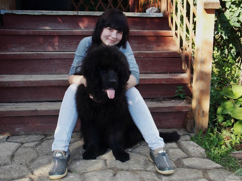 Фотография № 131529