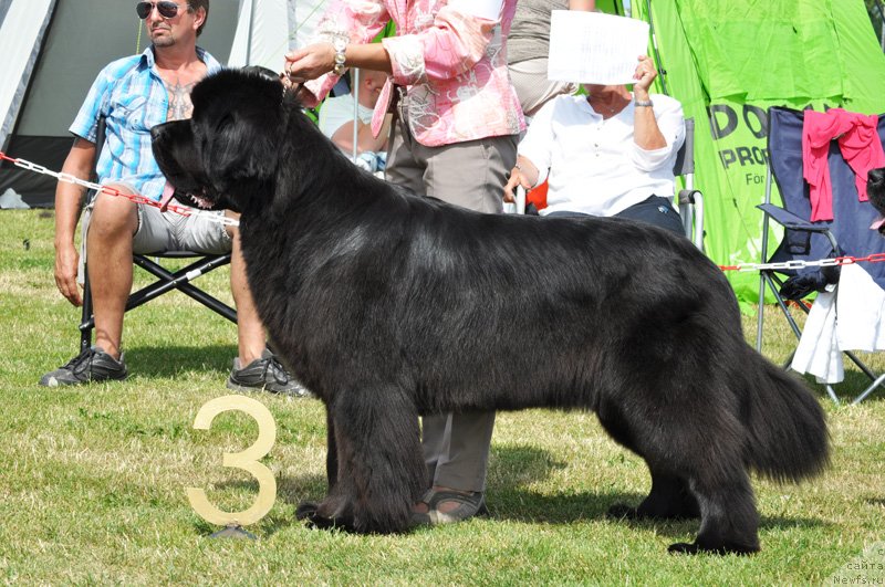 Фотография № 131547