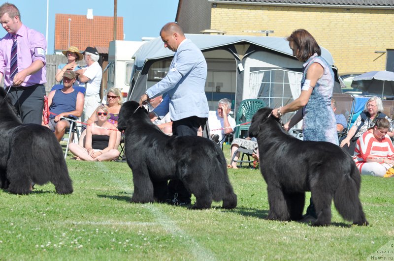 Фотография № 131550