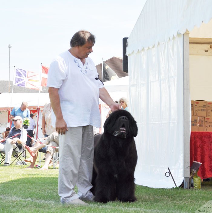 Фотография № 131551