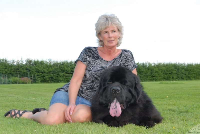 Фото: ньюфаундленд Сент Джонс Ясон (Sent Djons Yason)