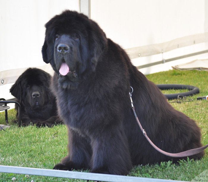 Фотография № 131570