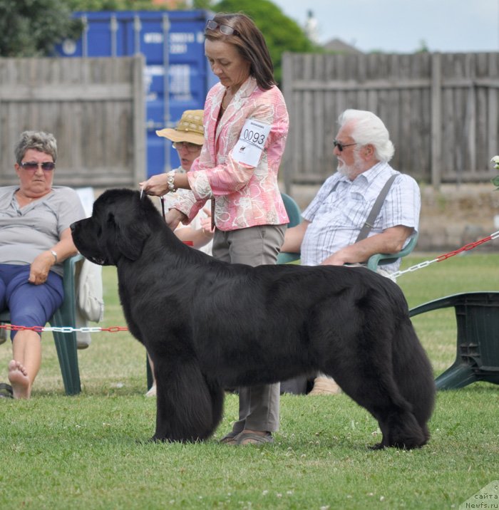 Фотография № 131579