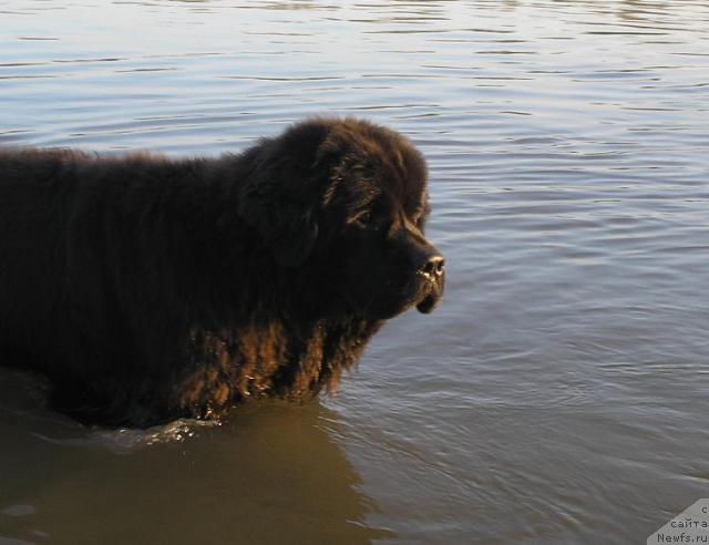 Фотография № 13158