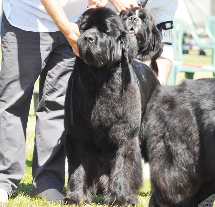 Фотография № 131580