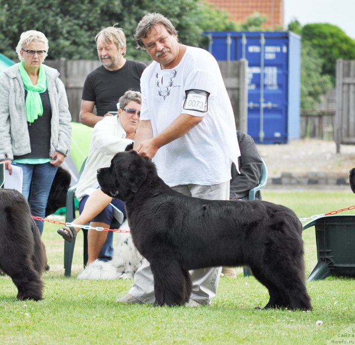 Фотография № 131582