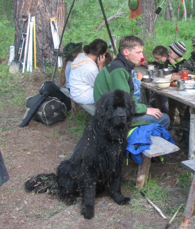 Фотография № 131583