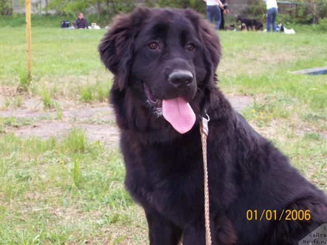 Фотография № 13160