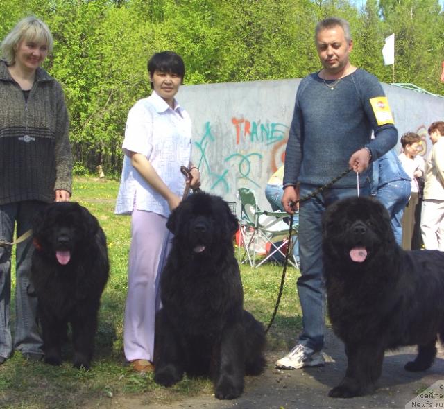 Фотография № 13161