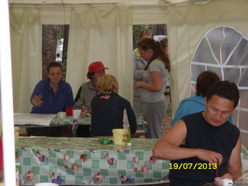 Фотография № 131620