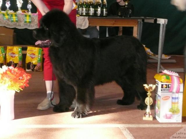 Фотография № 13163