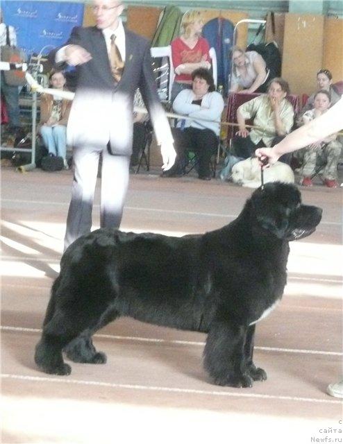 Фотография № 13164