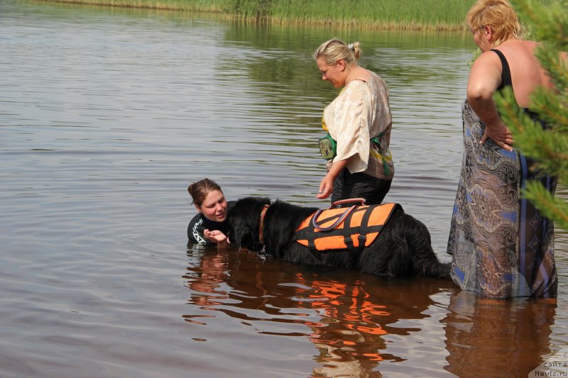 Фотография № 131665