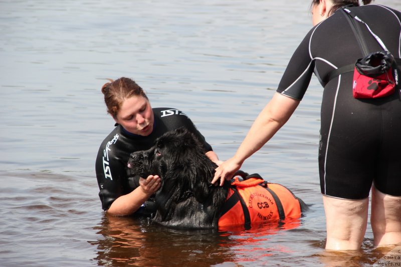 Фотография № 131666