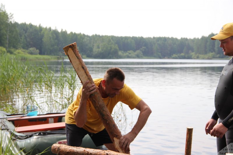 Фотография № 131667