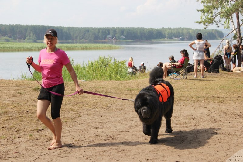 Фотография № 131669