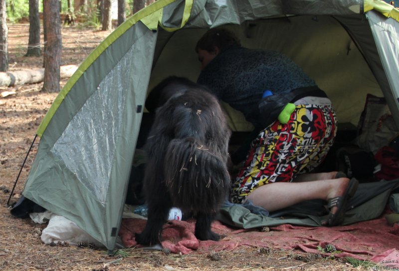 Фотография № 131671