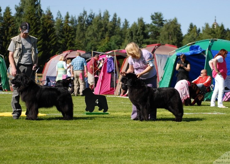 Фотография № 131676