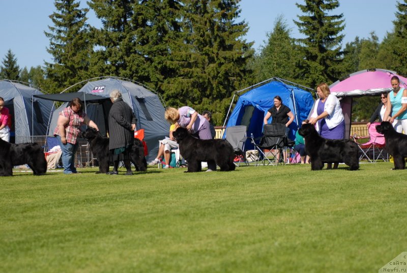 Фотография № 131684