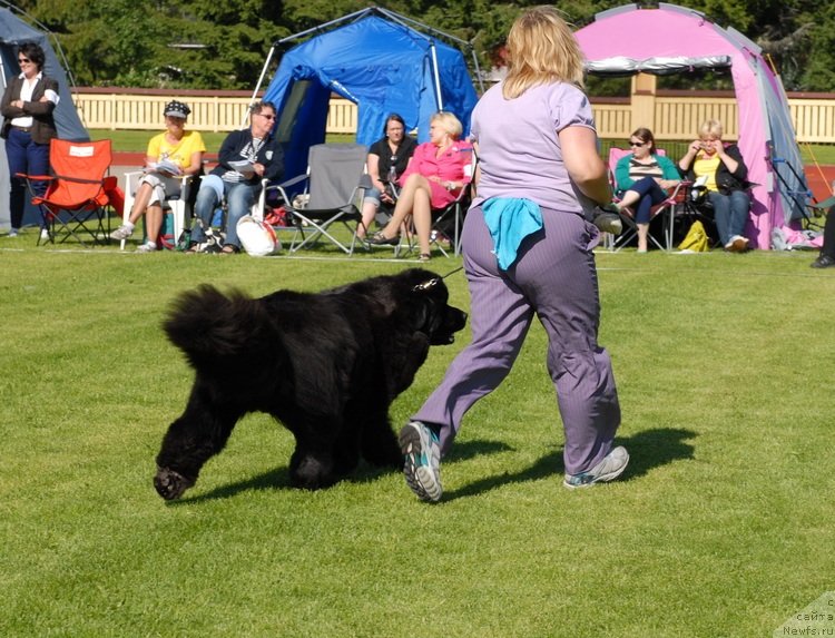 Фотография № 131687