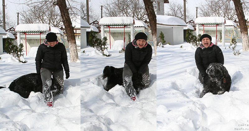 Фотография № 131699