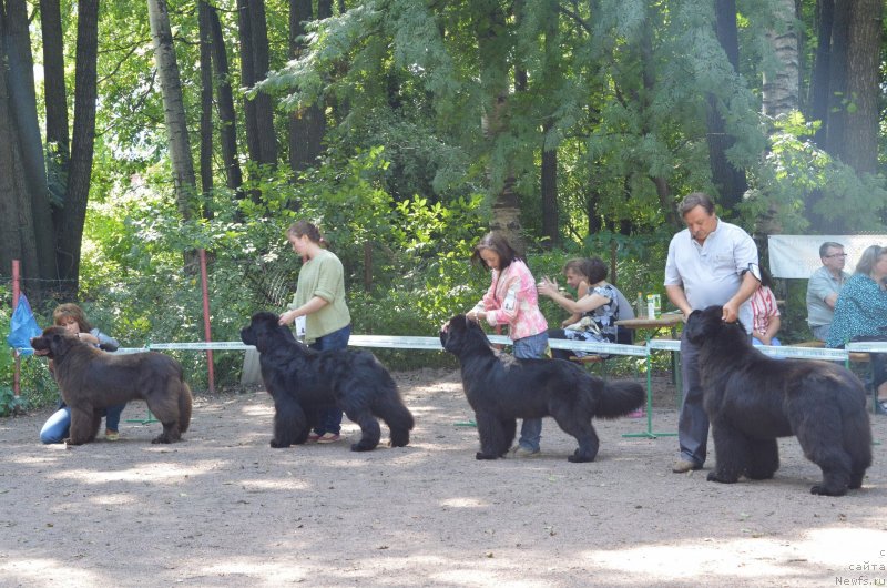 Фотография № 131749